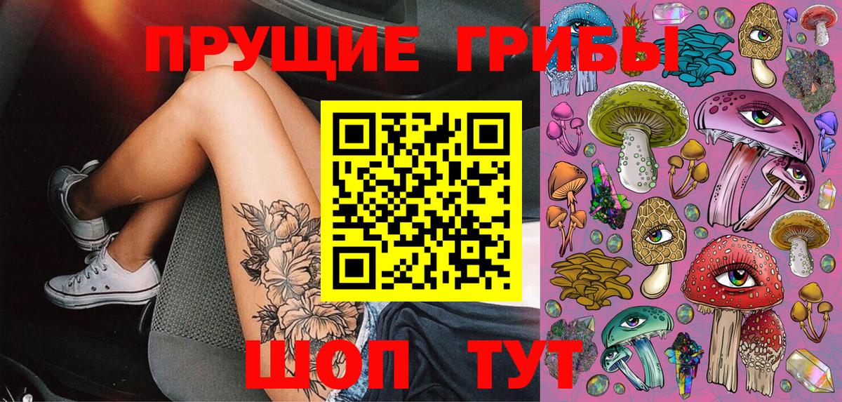 Псилоцибиновые грибы мицелий Шали